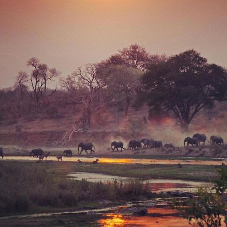 Croc Orvyll'S Kruger Lodge Marloth Park Exterior foto