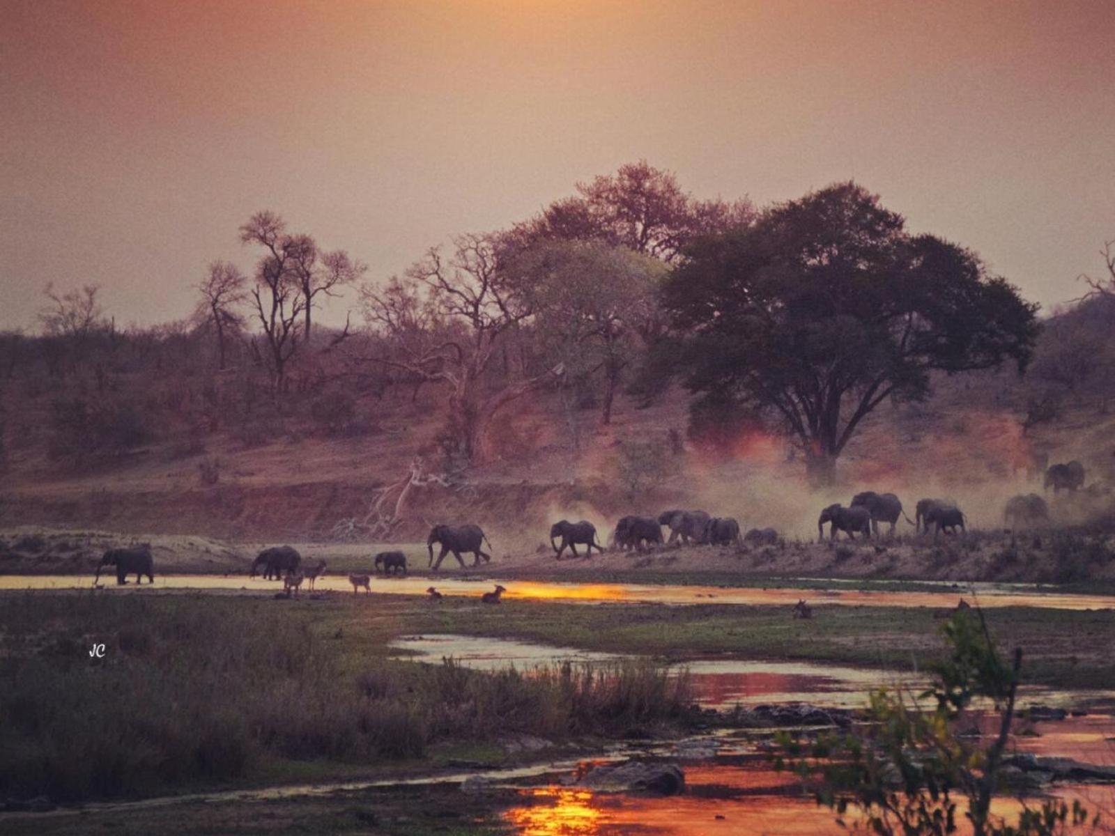 Croc Orvyll'S Kruger Lodge Marloth Park Exterior foto