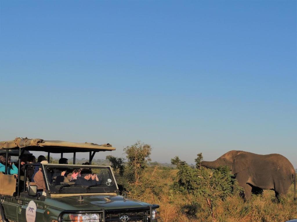 Croc Orvyll'S Kruger Lodge Marloth Park Exterior foto