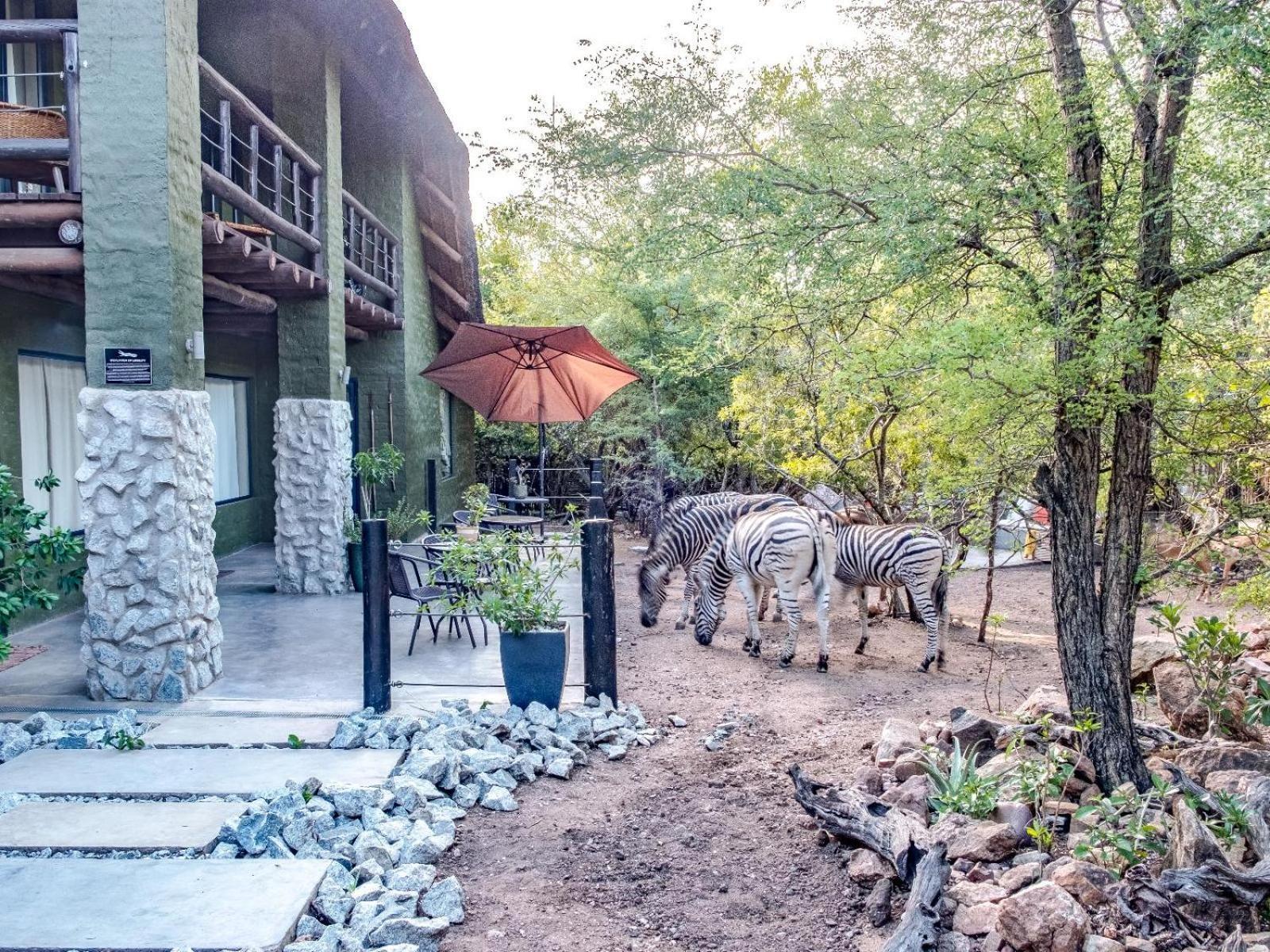 Croc Orvyll'S Kruger Lodge Marloth Park Exterior foto